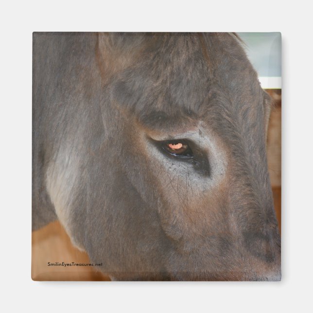 Donkey Thoughts Farm Animal Nature Magnet (Front)