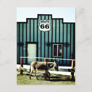 Donkey Town Oatman Arizona Announcement Postcard