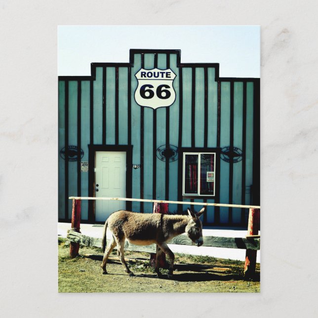 Donkey Town Oatman Arizona Announcement Postcard (Front)