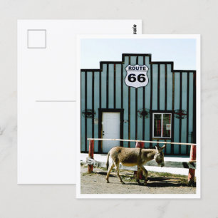 Donkey Town Oatman Arizona Postcard