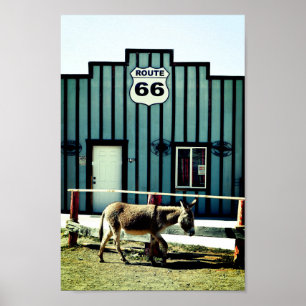 Donkey Town Oatman Arizona Poster