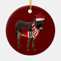 Donkey With Hat Scaft Christmas