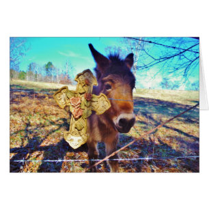Donkey with Rose Cross