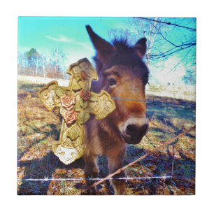 Donkey with Rose Cross Tile