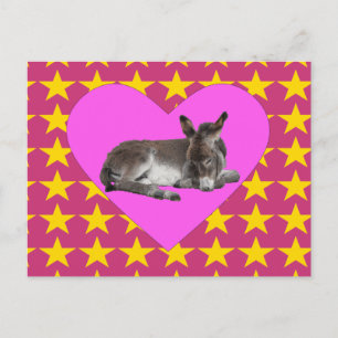 Donkey with stars and hearts postcard