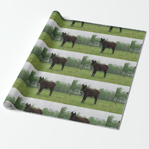 Donkey Wrapping Paper