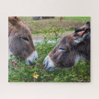 Donkeys, 520pcs,