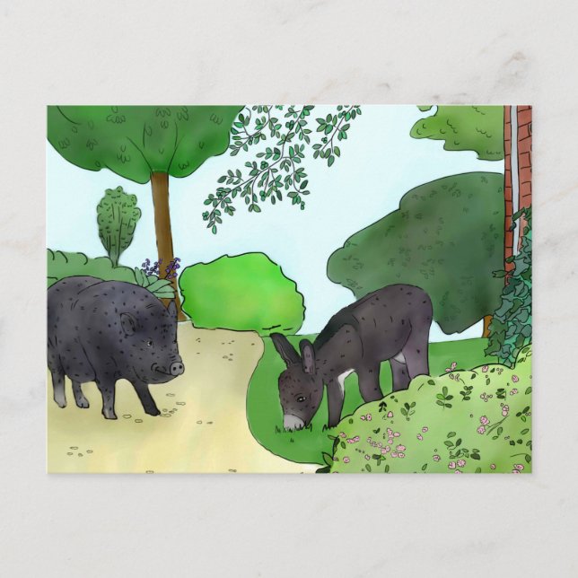 donkeys and pigs postcard (Front)