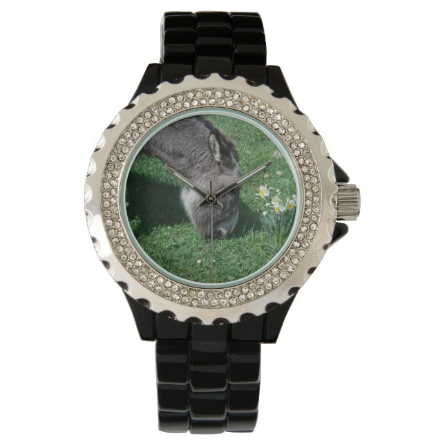 Donkeys Don't Eat Wild Daffodils Watch (Front)