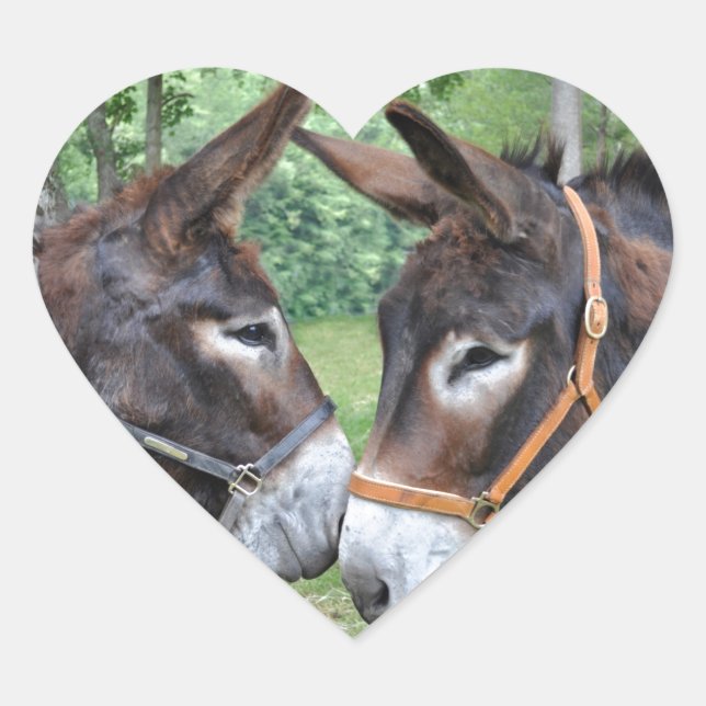 Donkeys in love heart sticker (Front)
