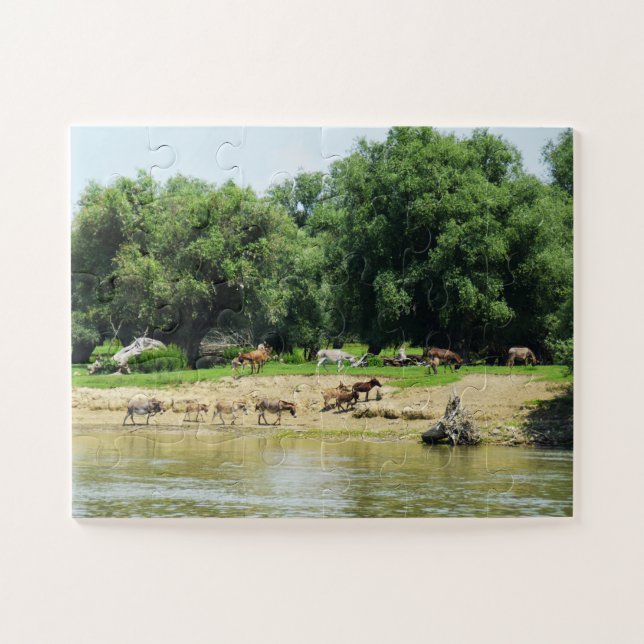Donkeys Jigsaw Puzzle (Horizontal)