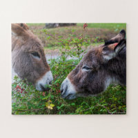 Donkeys, kids, 56 pieces,