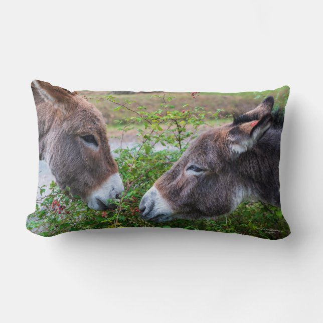 Donkeys, Lumbar Cushion (Front)