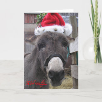 "Donkeys make great Santas!" Holiday Card