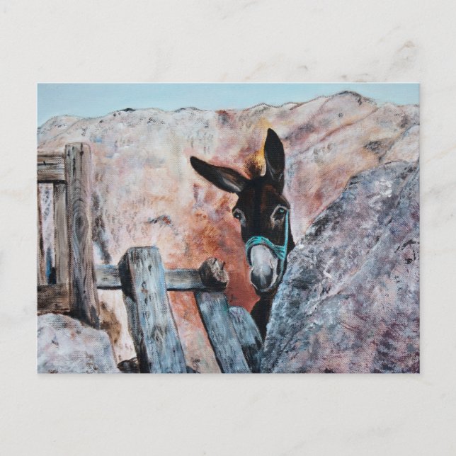 Donkeys Postcard (Front)