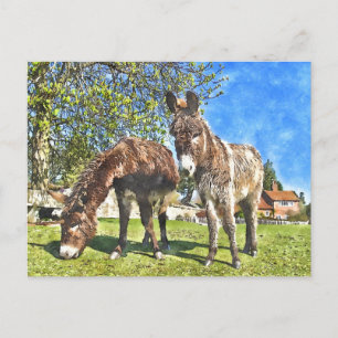 Donkeys Watercolour-Style Postcard