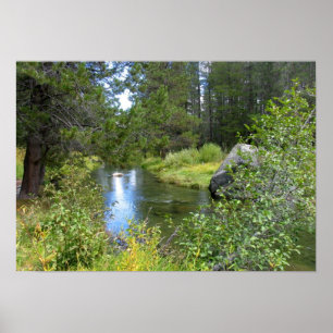 Donner Memorial State Park, Truckee, CA Poster