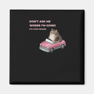 Don't Ask Me Where I'm Going (i'm Going Insane) St Magnet