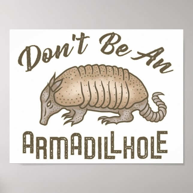 Don't be an Armadillhole Funny Armadillo Animal Poster (Front)