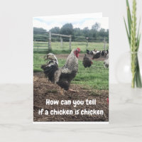 DON'T BE CHICKEN TO ASK AGE ON BIRTHDAY
