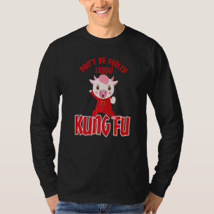 Dont Be Fooled I Know Kung Fu Kung Fu Fighters T-Shirt
