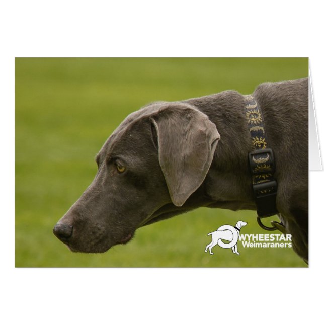 Don't Be Sad (Front Horizontal)