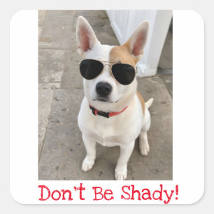 Don't Be Shady Cute Dog Magnet Square Sticker
