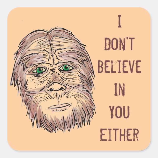 Don't believe yeti humour stickers (Front)