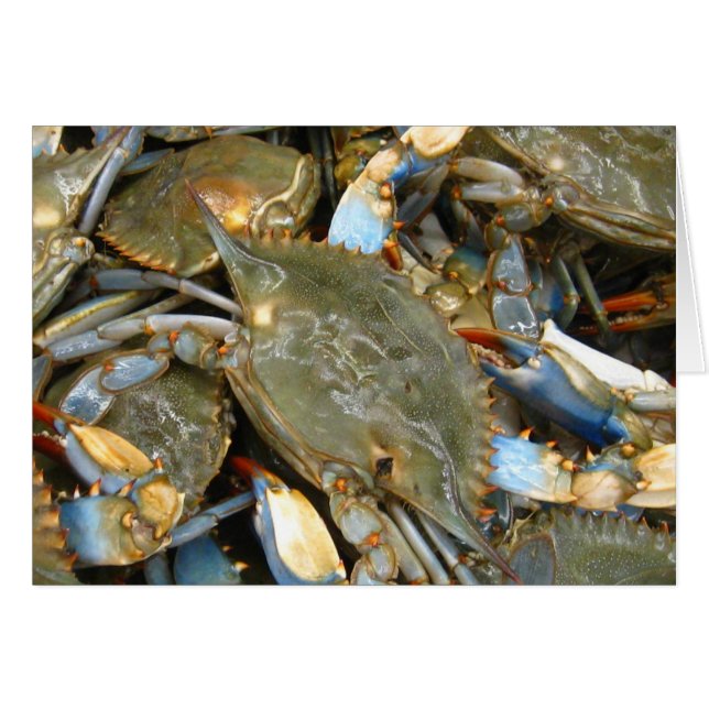 Don't Bother Me...I'm Crabby! (Front Horizontal)