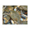 Don't Bother Me...I'm Crabby!