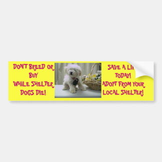DON'T BREED OR BUY! ADOPT BUMPER STICKER