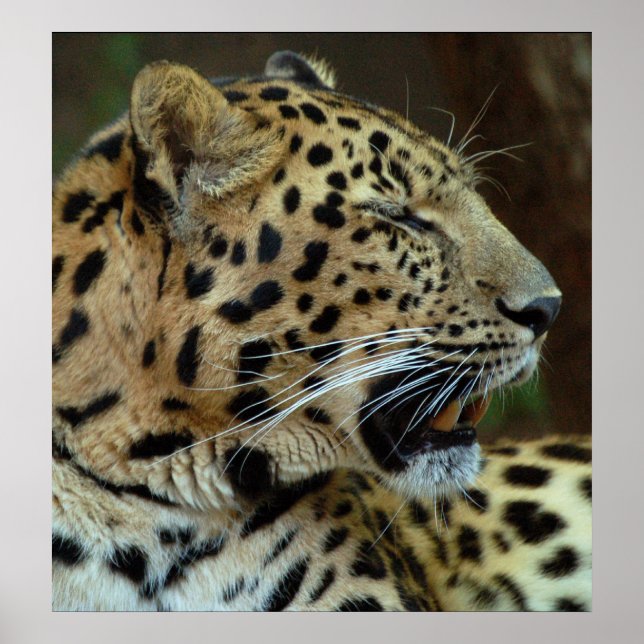 Don't Close Your Eyes On Me... Poster (Front)