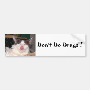 Don't Do Drugs weird cat Bumper Sticker