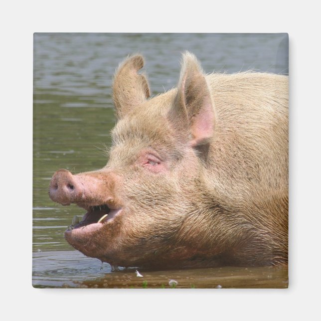 Don't eat that!!! magnet (Front)