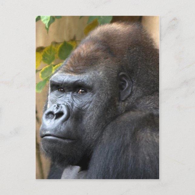 Don't Even Think It... Postcard (Front)