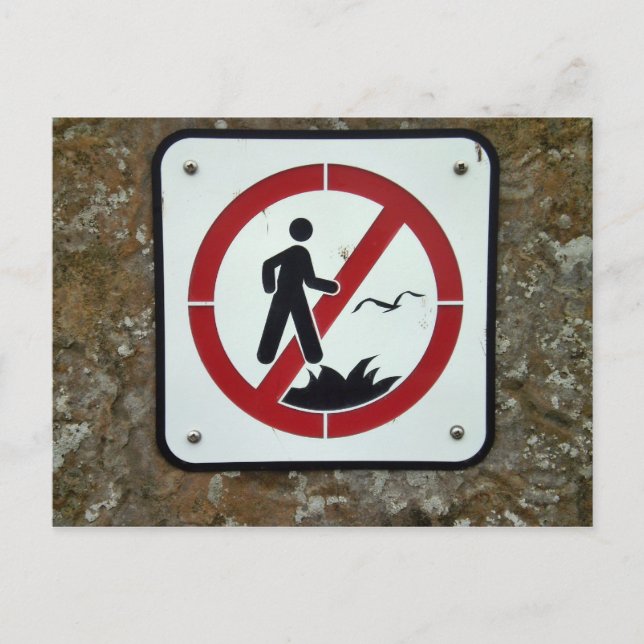 Don't Fall off the Cliff Postcard (Front)