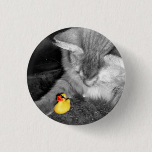 'Don't Feed the Cat' Rubber Duck Button (small)