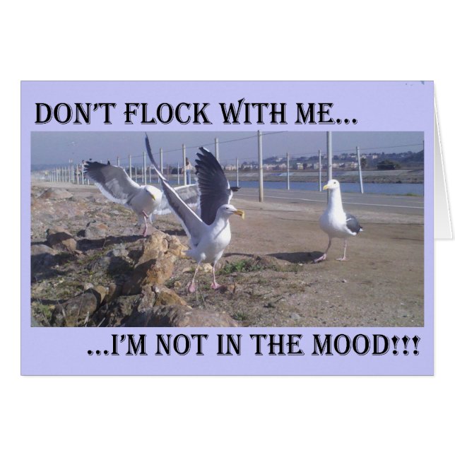 Don't Flock With Me (Front Horizontal)