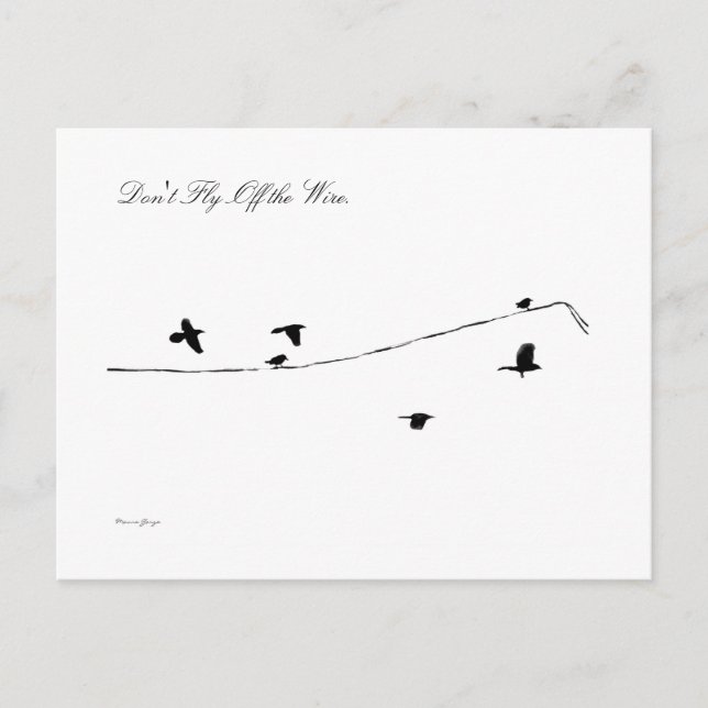 Don't Fly Off the Wire Postcard (Front)