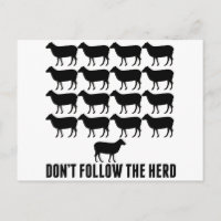 Don't Follow the Herd of Sheep - Be Yourself