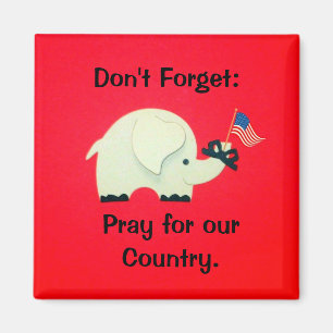Don't Forget: Pray for our Country Magnet