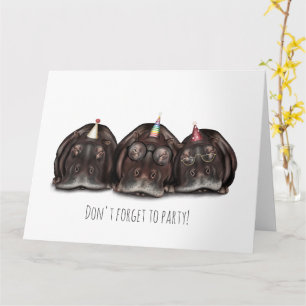 Don't Forget to Party Hippos - Fun Birthday Card