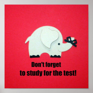 Don't forget to study for the test! poster