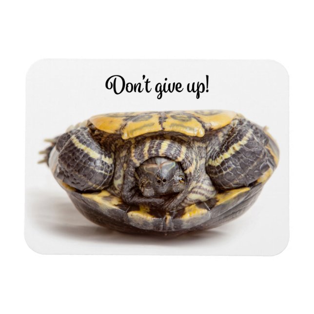Don't Give Up Upside Down Turtle Encouragement Magnet (Horizontal)