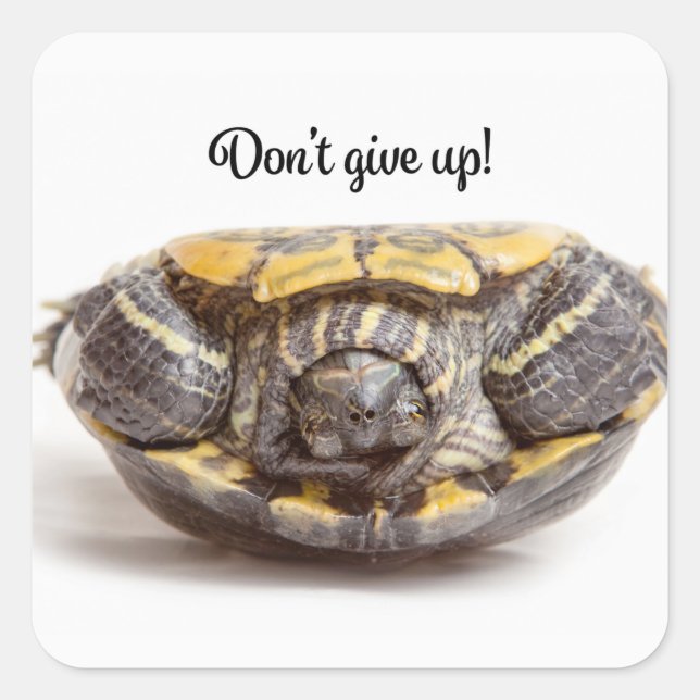 Don't Give Up Upside Down Turtle Encouragement Square Sticker (Front)