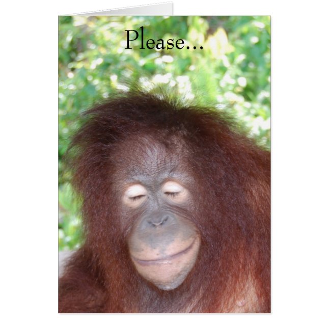 Don't Hate Me Because I'm Beautiful (Front)