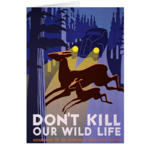 Don't Kill Our Wild Life