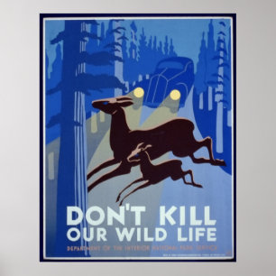 Don't Kill our Wild Life Poster