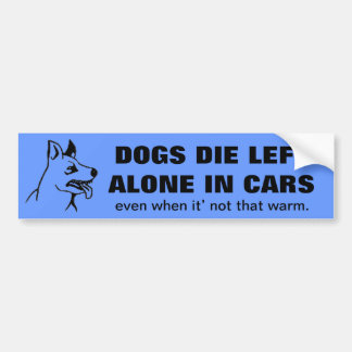 DONT LEAVE YOUR PETS ALONE IN A CAR BUMPER STICKER