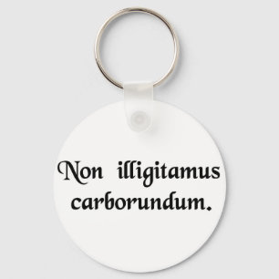 Don't let the bastards grind you down. key ring